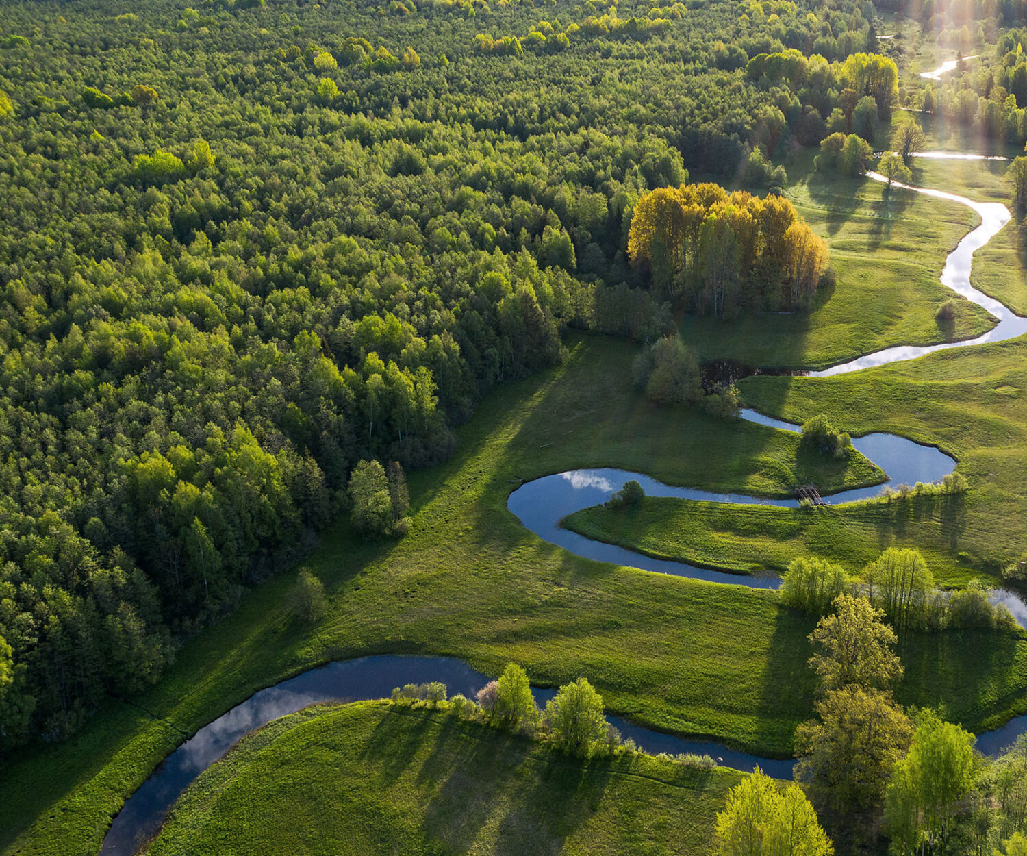 Forest in summer colors. Green deciduous trees and winding blue river in sunset. Mulgi meadow, Estonia, Europe